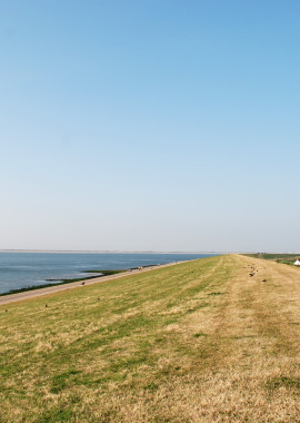 Expat housing North Holland